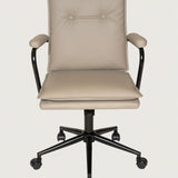 Executive Cushioned Office Chair (Grey Beige)