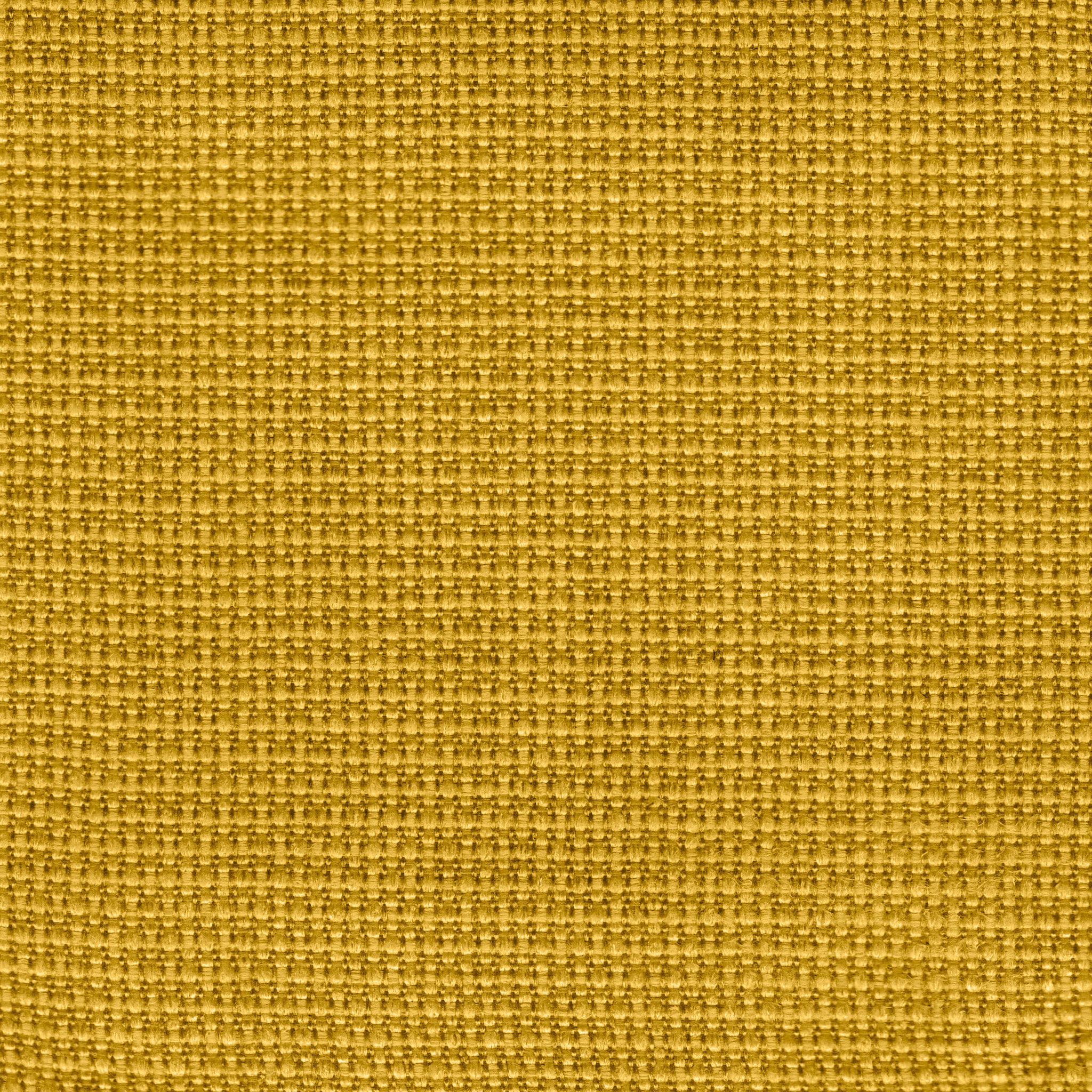 Canola Yellow Fabric