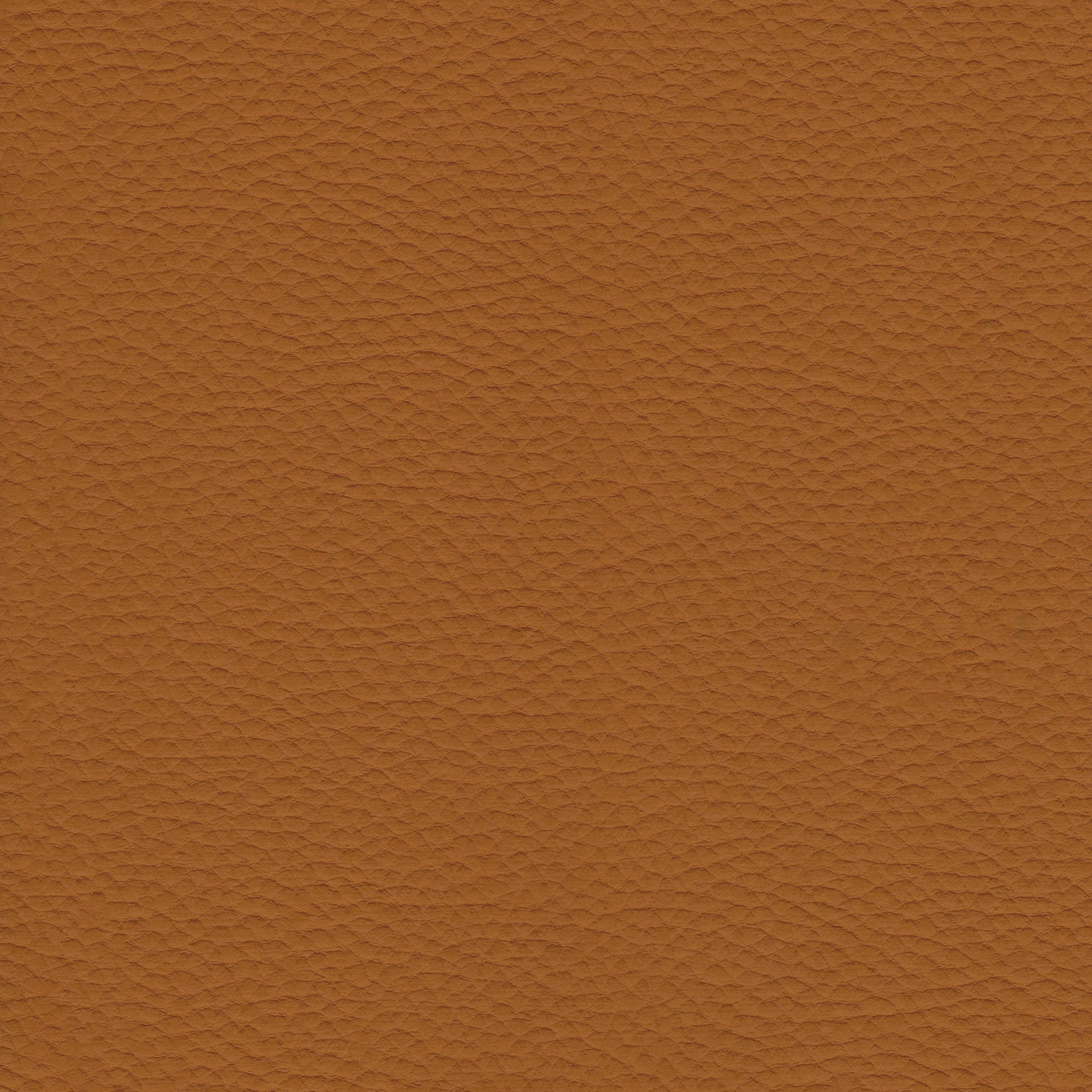 Caramel Brown Leather 1