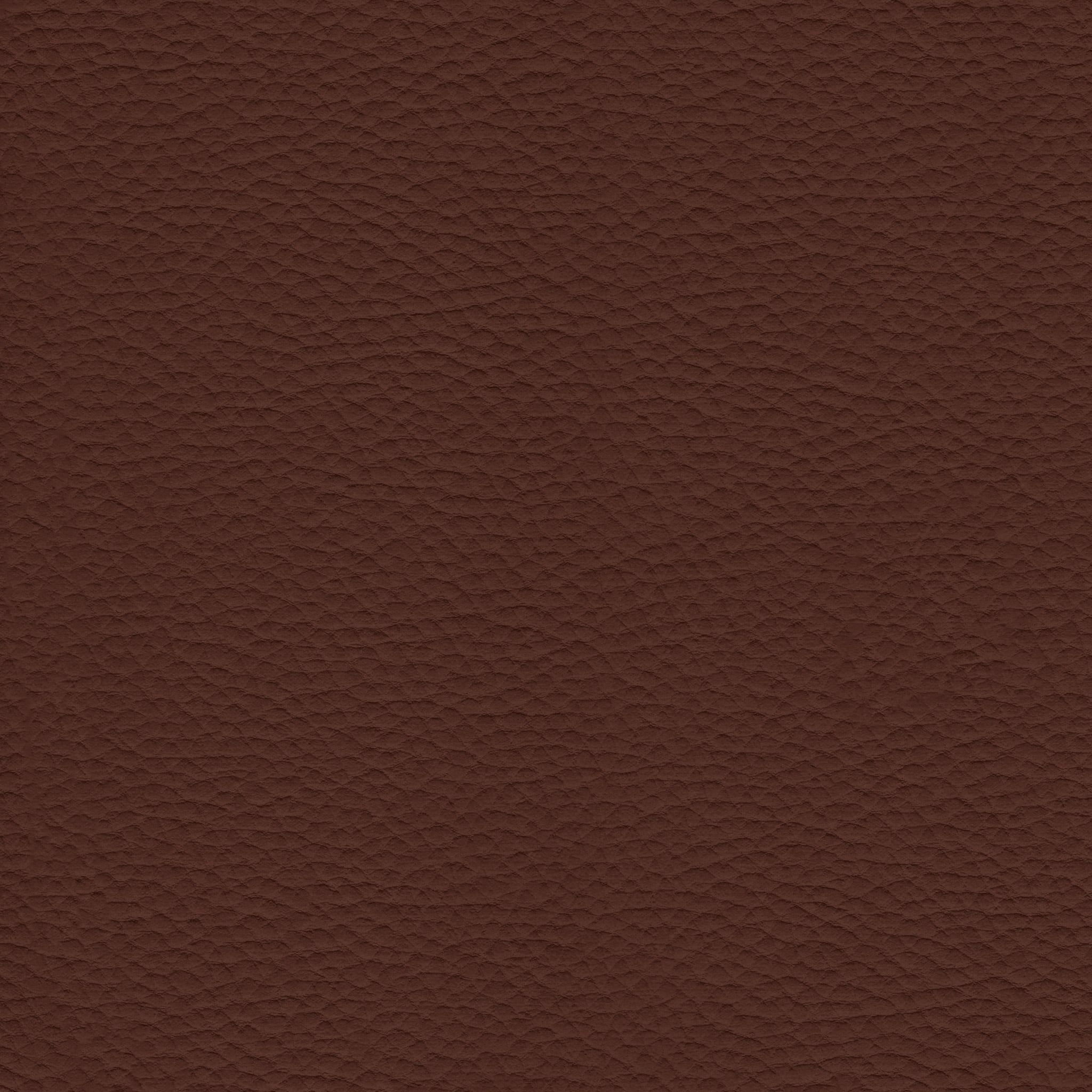 Chocolate Brown Leather